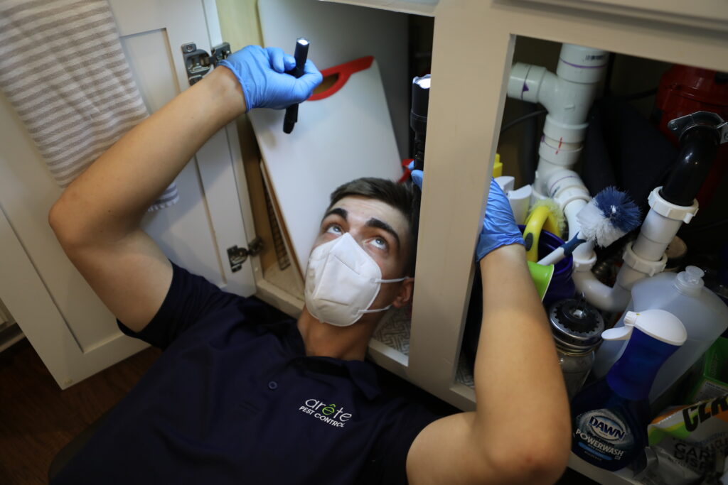Professional pest control technician removing spider webs around a home.