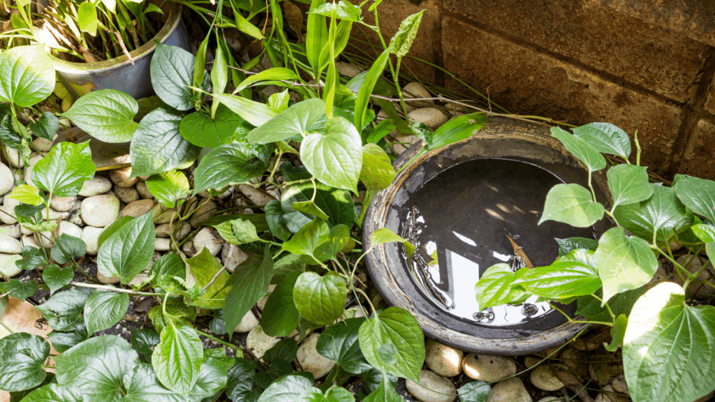 Pest Control in Alpharetta, GA: August’s Most Active Pests and Prevention Tips