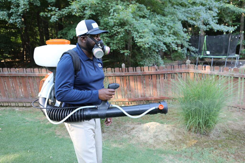 Best Time To Spray Insecticide Around a House in Orem, Utah