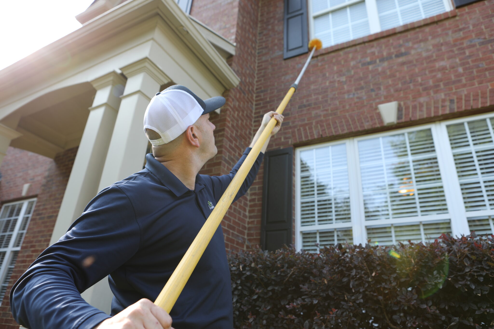 How to Choose the Right Pest Control Service for Your Needs