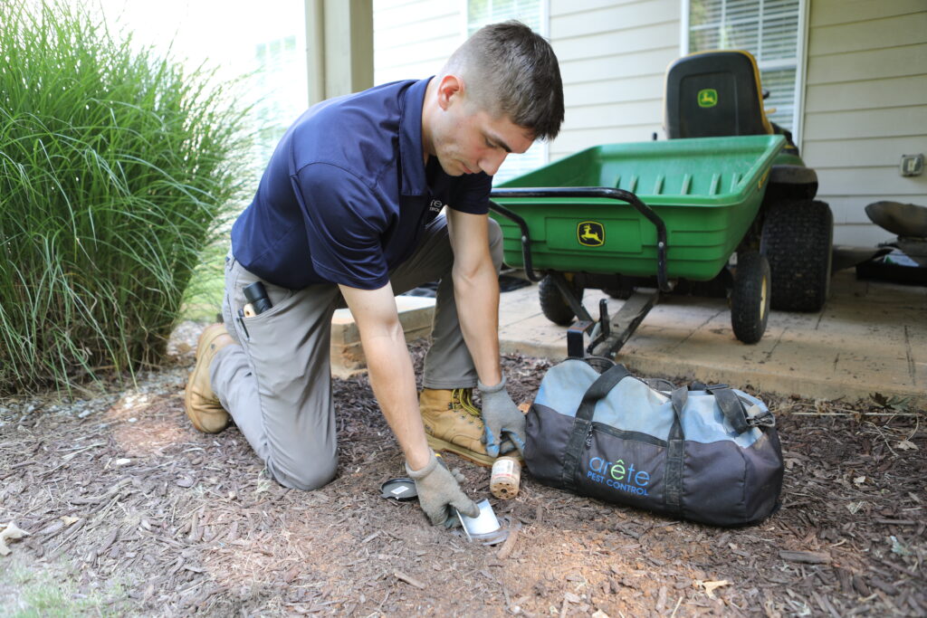 8 Tips from Industry Experts about Termite Control
