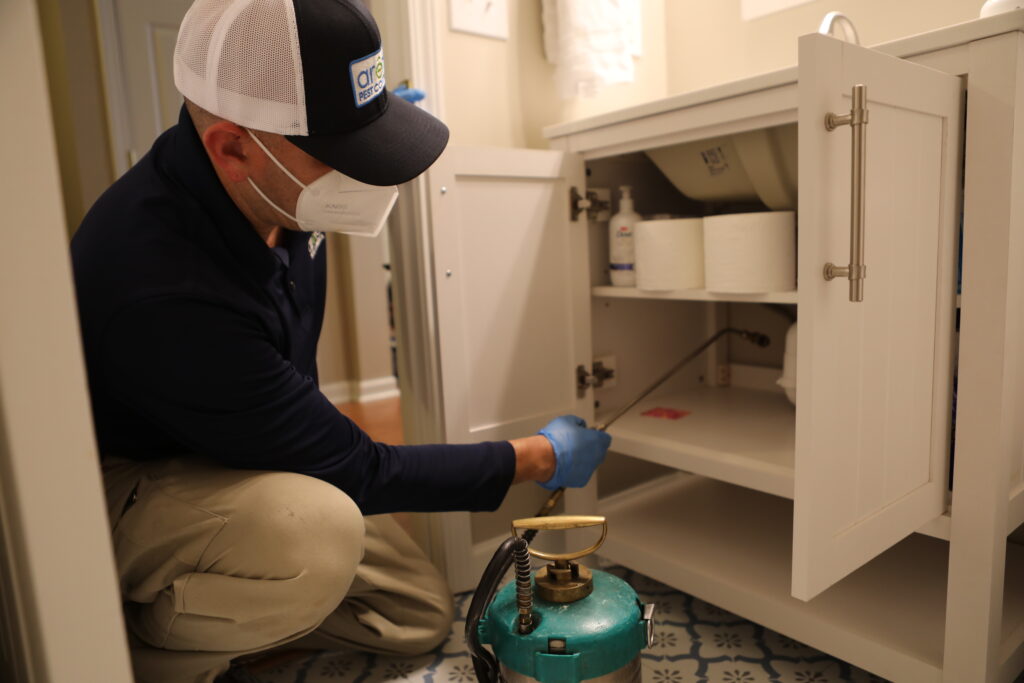 Pest Control in Norcross, GA