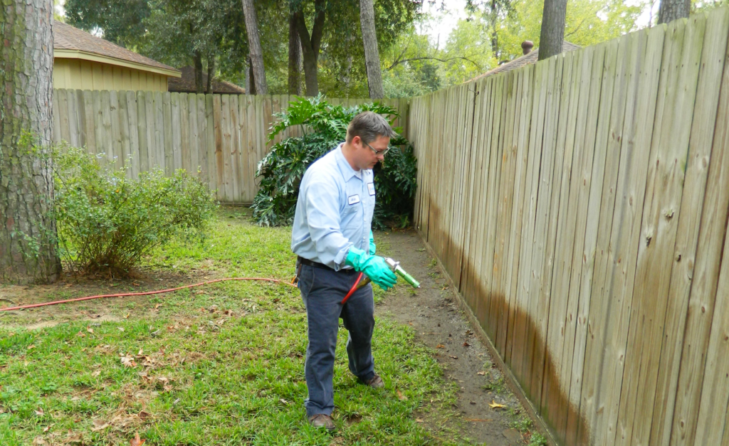 When to Schedule Pest Control in Orem, UT