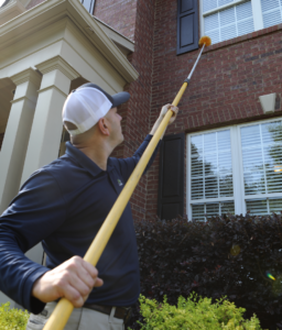 Pest Control Costs in North Georgia | Your Guide