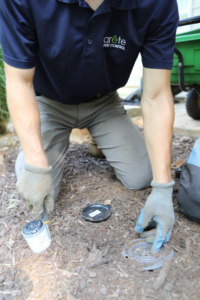 Termite Treatment Costs in Utah County & SLC | Guide