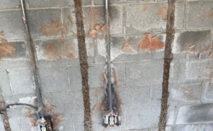 Subterranean Termite Risk in Dacula, GA | Warning Signs