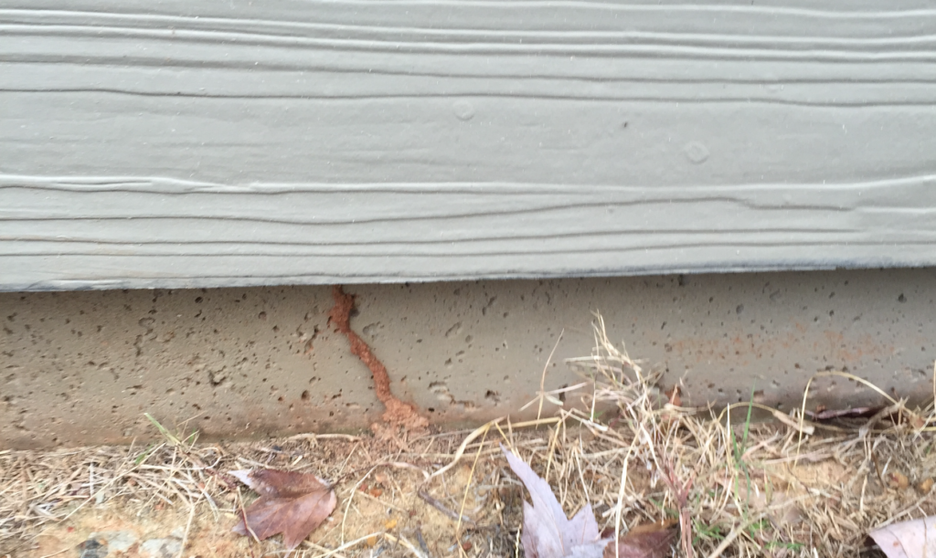 When Should I Hire a Termite Exterminator in Dacula GA?