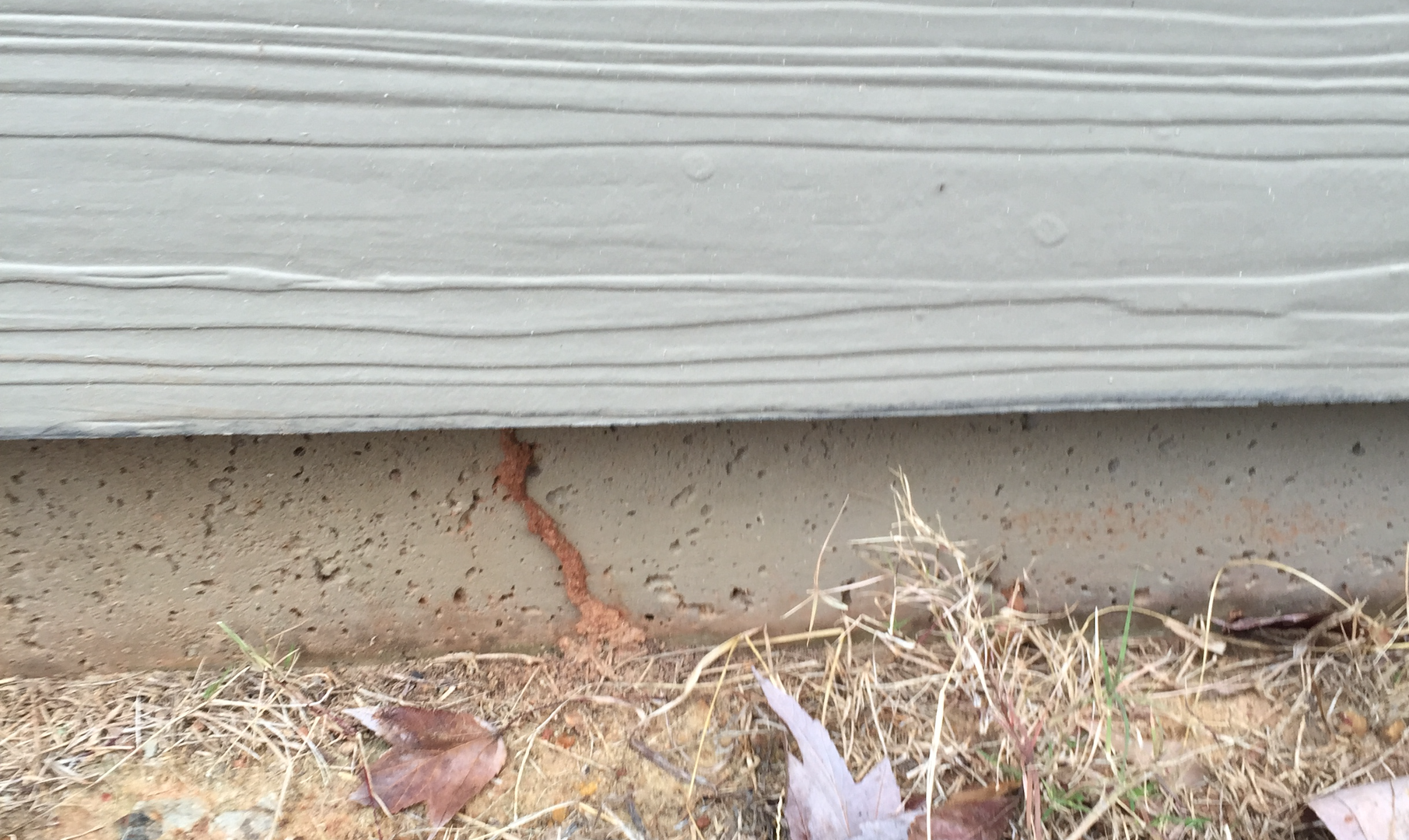 When Should I Hire a Termite Exterminator in Dacula GA?
