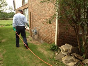DIY vs. Pro Spider Control in Dacula, GA