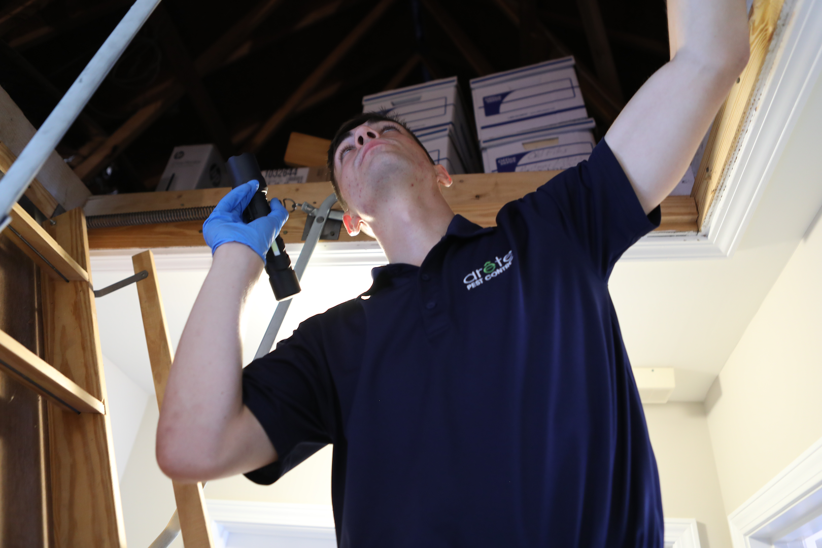 DIY vs. Pro Rodent Control in Dacula, GA- Arete Pest Control